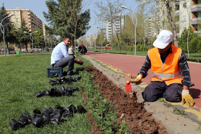 Diyarbakır'da milyonlarca çiçek dikiliyor